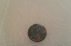 5Haleř dnešni úlovek