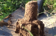 thumbs obrazek 3 c6e7b2b41a5a64ff36e69503e06aa46fee1f88b5 Militárie   nálezy