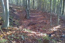 thumbs 2014 09 28 588 e9d7b325393f86a8c9d08a9bf389f17df2420b4c Militárie   nálezy