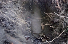 thumbs img 20140503 1239213 0fcc0ac01dc1766891f9e81d0cd65308132157ad Militárie   nálezy