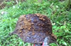 thumbs 10603318 10202472225234625 7867035017677862033 n b19418373315d18bc03e21a46db7821f3577a873 Militárie   nálezy