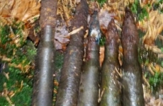 thumbs 20140803 155420 47e90ea122772b4cae9780f13c0cfaf871eb6ef8 Militárie   nálezy