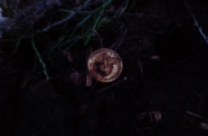 thumbs img 20160227 174756 1f567713b3e3d3baec3fe5b316d51fd93098a022 Militárie   nálezy