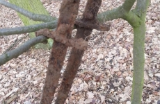 thumbs 011 43bed81361971b11d692074a6e8fa69482272924 Militárie   nálezy