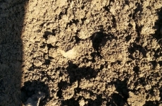 thumbs 016 ca5478a0d3960e9d59eaf796e86d08ba0fc9746f Militárie   nálezy