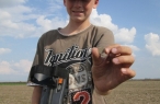 Můj první stříbrňák