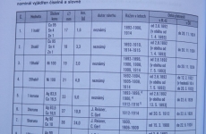 Niklák nebo stříbro...?