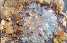 thumbs 20141109 155627 e198c51e2d4c5037e71ca389494d97aff2f9a369 Militárie   nálezy