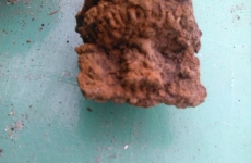 thumbs g1 4e9e2935ae880a7d2f237d40fd1941c87f03c256 Militárie   nálezy