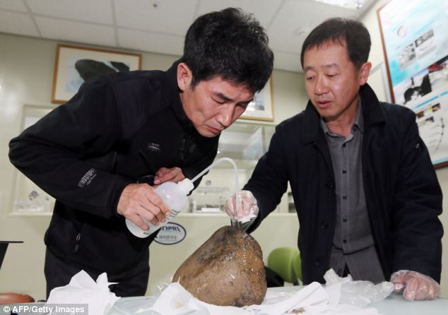 korea meteorit 5 Meteoritová horečka v Jižní Korei