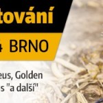 extremni-testovani-old
