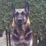 Profilovka od petr pavel